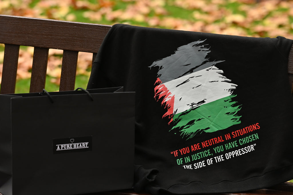 APH x Palestine Hoodie